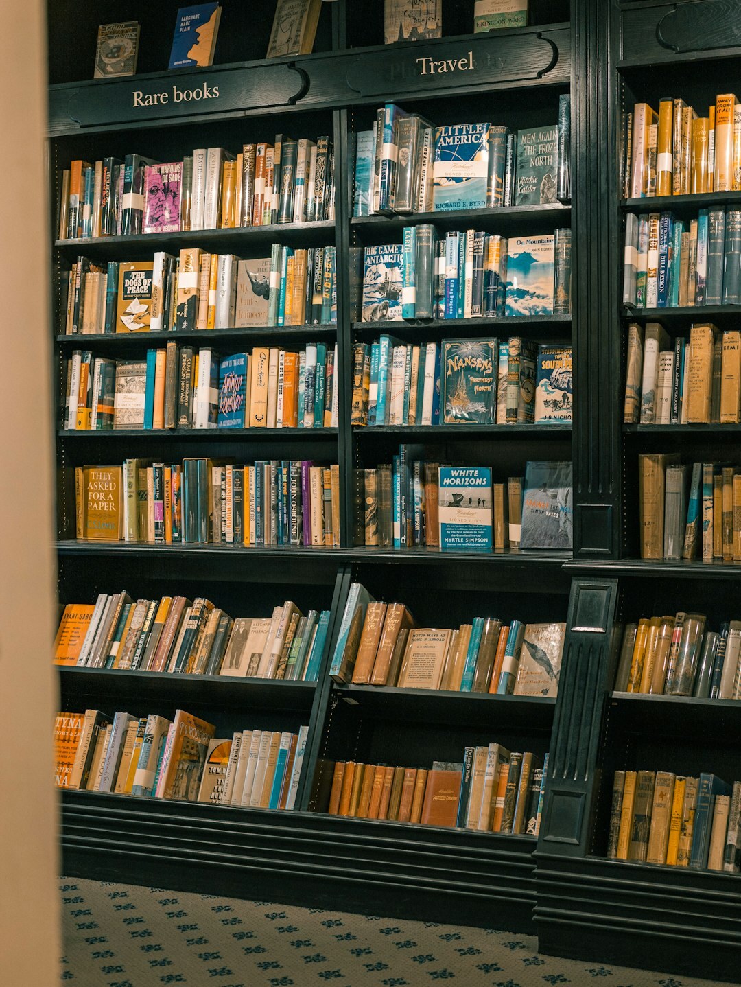 book club discussion