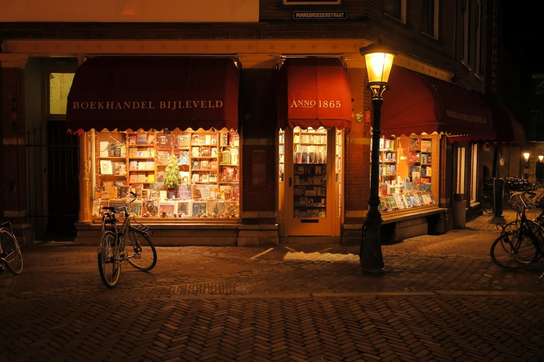 dutch detective books