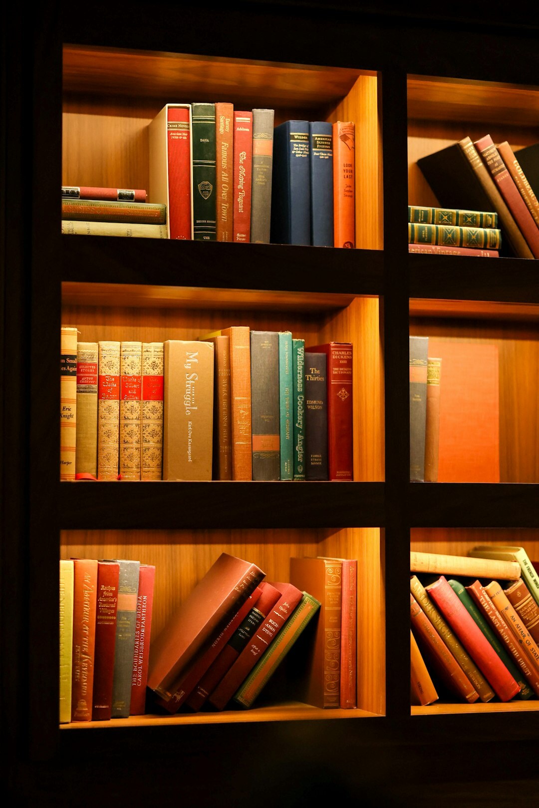 bookshelf with mystery novels